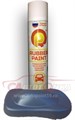 RUBBER PAINT